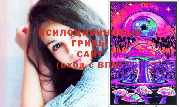 круглые Вяземский