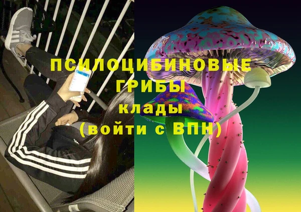 круглые Вяземский